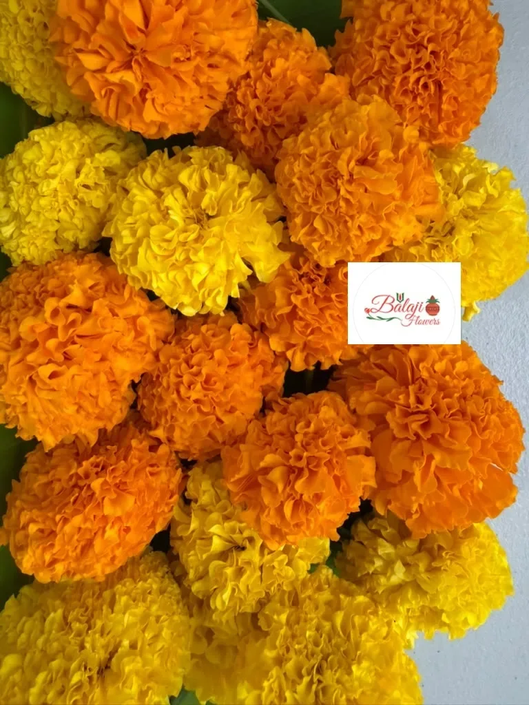 Balaji Flowers, business photo 2