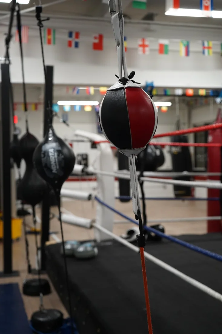Gorilla Squad Boxing Academy, business photo 2