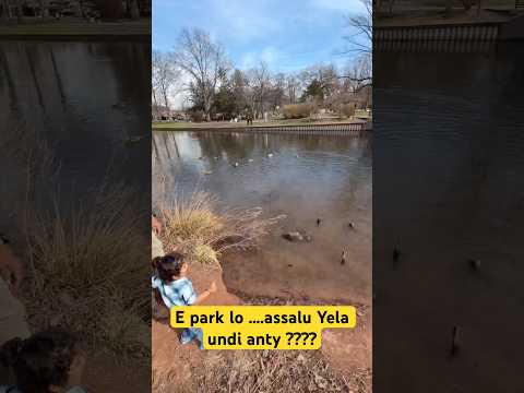 Roosevelt Park in Edison video thumbnail